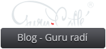 GuruBlog